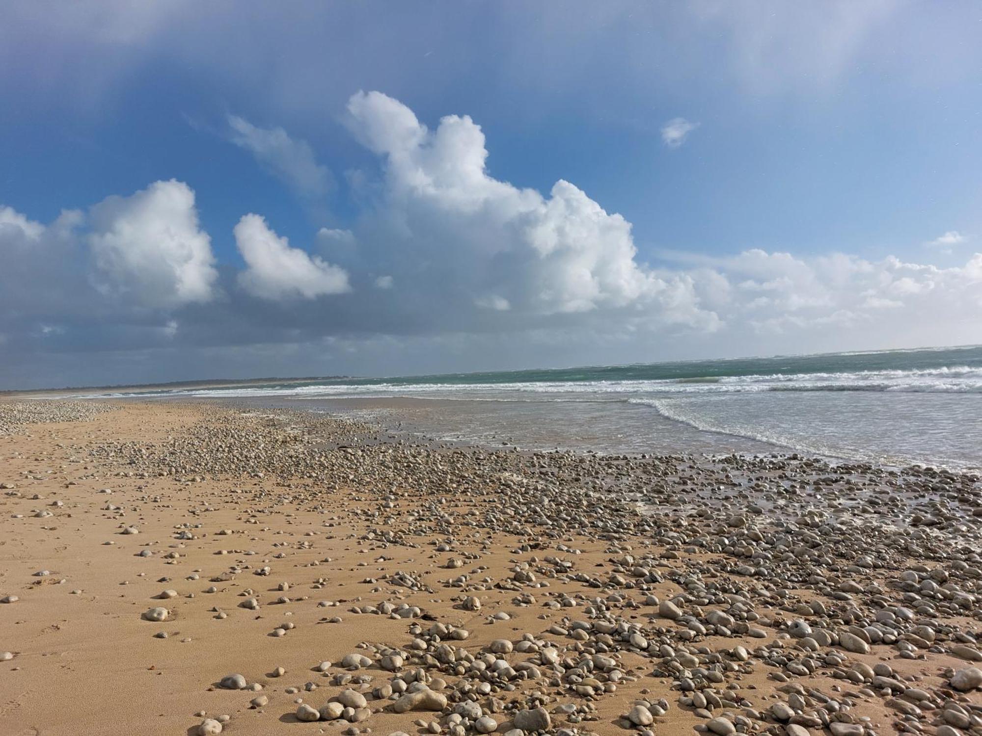 Maison A 8 Min A Pied De La Plage Avec Jardin Clos Et Ombrage Сен-Жорж-д'Олерон Екстер'єр фото